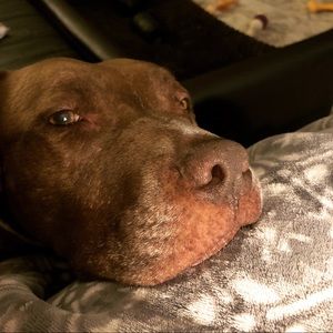 Meet your Posher, Bri